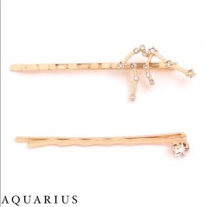 AQUARIUS ▫️ Zodiac Hair Pin Set